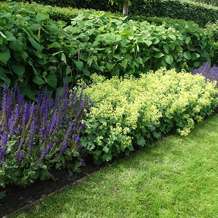 Beleef deze tuin